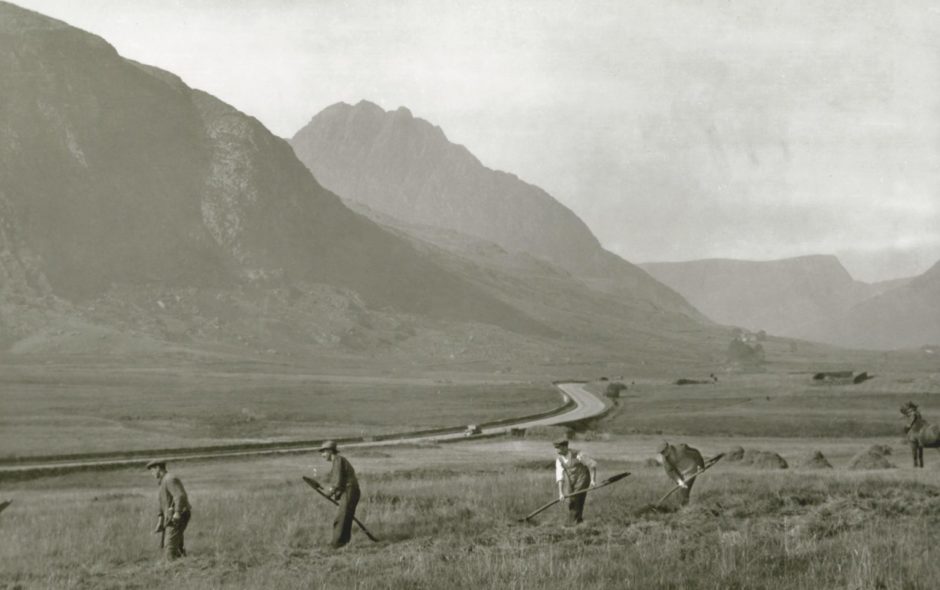 Cynaeafu Gwair tua 1950au