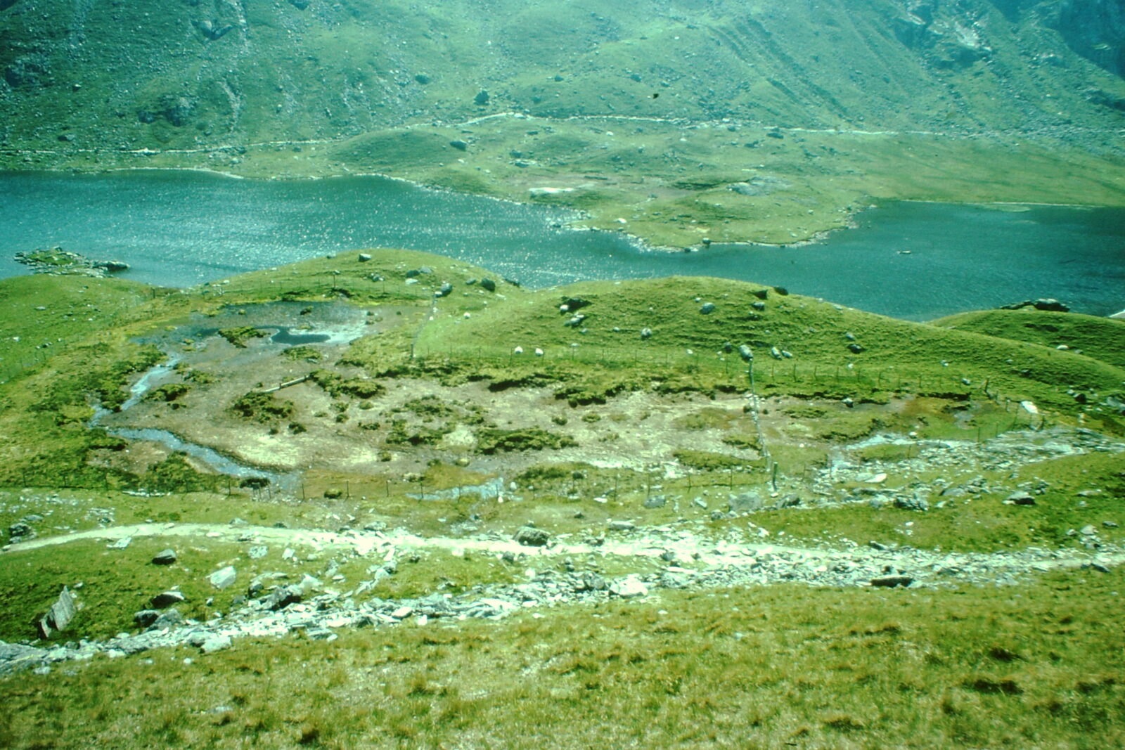Summer 1977 Cwm Idwal National Nature Reserve